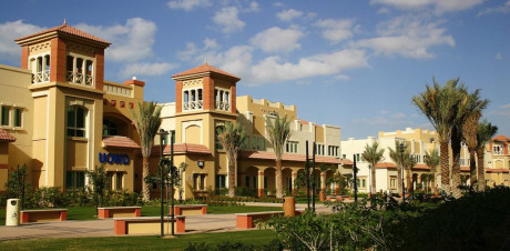 The Innovation Institute of Business