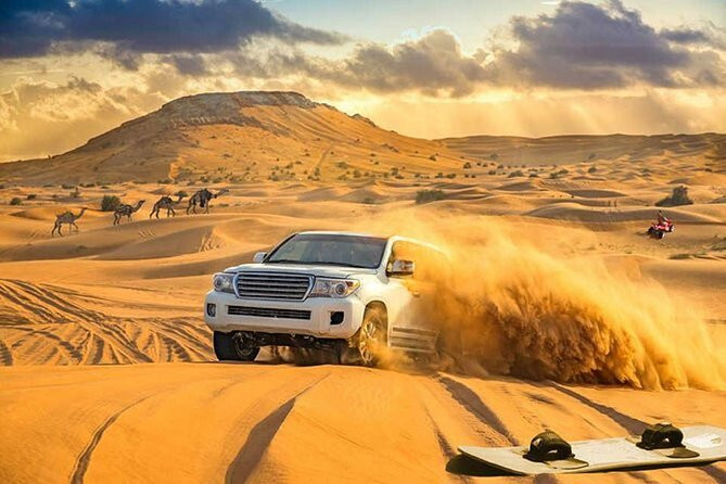 Desert Safari inclusive of camel ride, show and 4x4 dune bashing